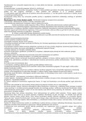 Politologija teorija 19 puslapis