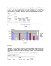 Optimizavimo uždavinių sprendimas su Excel. Dinaminiai sukiniai 3 puslapis