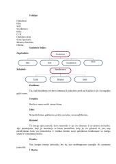 J.D. Selindžeris "Rugiuose prie bedugnės". Knygos analizė 2 puslapis