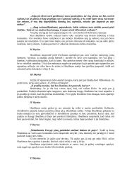 J.D. Selindžeris "Rugiuose prie bedugnės". Knygos analizė 3 puslapis