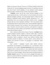 Socialinio darbuotojo vaidmens analizė 3 puslapis