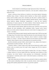Akcinių bendrovių rūšys 4 puslapis