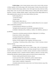 Akcinių bendrovių rūšys 5 puslapis