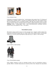 Apranga sauganti nuo mechaninių sužeidimų 17 puslapis