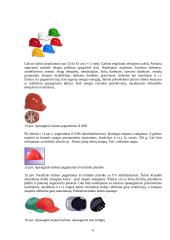 Apranga sauganti nuo mechaninių sužeidimų 6 puslapis