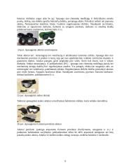 Apranga sauganti nuo mechaninių sužeidimų 9 puslapis