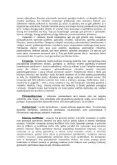 Asmeninė ir viešoji moralė 3 puslapis