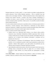 Bendravimo kultūra 2 puslapis