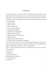 Bendravimo kultūra 7 puslapis