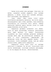 Lietuvos darbo jėgos rinka 2 puslapis