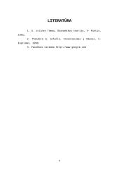 Lietuvos darbo jėgos rinka 8 puslapis