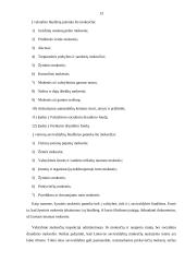 Darbo paklausa ir pajamų paskirstymas 13 puslapis