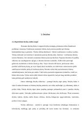 Derybų vedimas ir sėkmė 4 puslapis