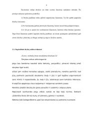 Derybų vedimas ir sėkmė 7 puslapis