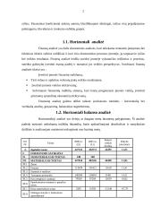 Finansinė analizė: UAB "Long Way's" 2 puslapis