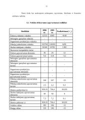 Finansinė analizė: UAB "Long Way's" 11 puslapis