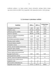 Finansinė analizė: UAB "Long Way's" 13 puslapis