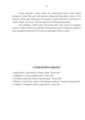 Finansinė analizė: UAB "Long Way's" 15 puslapis