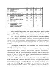 Finansinė analizė: UAB "Long Way's" 8 puslapis