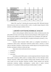 Finansinė analizė: UAB "Long Way's" 10 puslapis