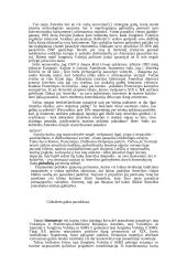 Galios vaidmuo tarptautinėje politikoje: praeitis ir dabartis 2 puslapis