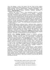 Galios vaidmuo tarptautinėje politikoje: praeitis ir dabartis 12 puslapis