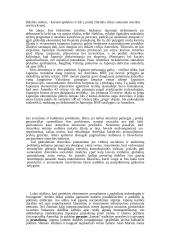 Galios vaidmuo tarptautinėje politikoje: praeitis ir dabartis 15 puslapis