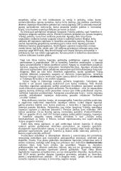 Galios vaidmuo tarptautinėje politikoje: praeitis ir dabartis 17 puslapis