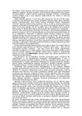 Galios vaidmuo tarptautinėje politikoje: praeitis ir dabartis 19 puslapis