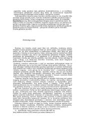 Galios vaidmuo tarptautinėje politikoje: praeitis ir dabartis 7 puslapis