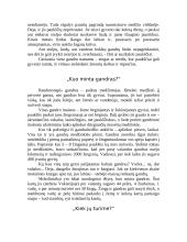 Gandro žemė 5 puslapis
