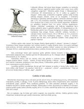 Geležis, geležies rūda 4 puslapis