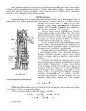 Geležis, geležies rūda 8 puslapis