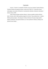 Grindinis šildymas 2 puslapis