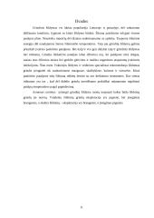 Grindinis šildymas 11 puslapis