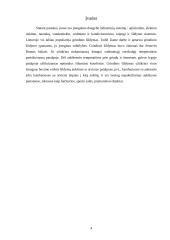 Grindinis šildymas 4 puslapis