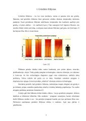 Grindinis šildymas 5 puslapis