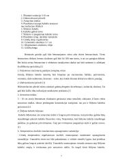 Grindinis šildymas 7 puslapis