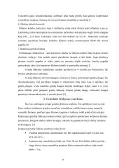 Grindinis šildymas 8 puslapis