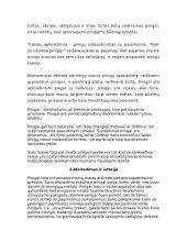 Kas yra pinigai? 2 puslapis