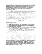 Kas yra pinigai? 3 puslapis