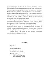 Kas yra pinigai? 6 puslapis