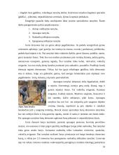 Kinologija Lietuvoje ir pasaulyje 13 puslapis