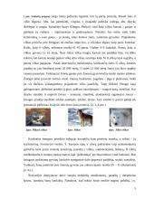 Kinologija Lietuvoje ir pasaulyje 4 puslapis