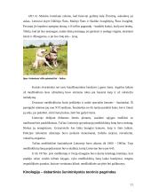 Kinologija Lietuvoje ir pasaulyje 10 puslapis