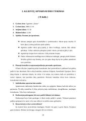 Klientų aptarnavimo tyrimas: turizmo agentūra "Saitas" 20 puslapis