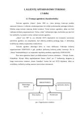 Klientų aptarnavimo tyrimas: turizmo agentūra "Saitas" 3 puslapis