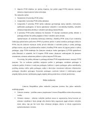 Kokius mokesčius moka verslininkai 5 puslapis