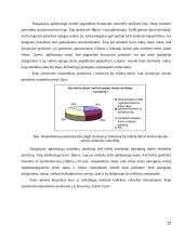 Korupcija muitinėje 13 puslapis