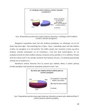 Korupcija muitinėje 14 puslapis